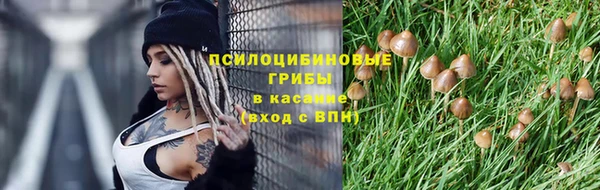соль ск Волоколамск