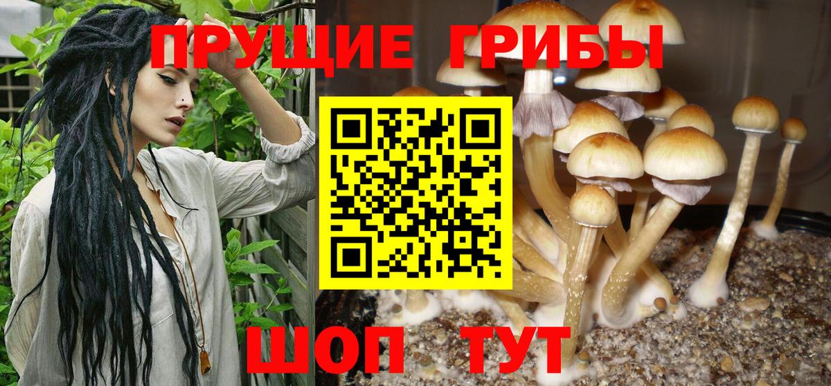 Галлюциногенные грибы мухоморы Нарткала